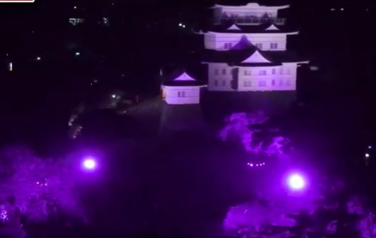 小田原城の桜のライトアップ